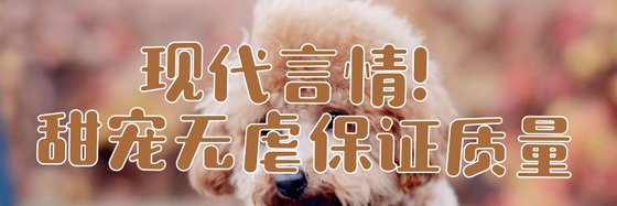 现代言情！甜宠无虐保证质量