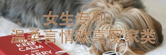 女生专利！温柔言情欢喜冤家类